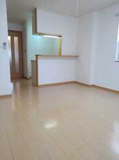 Pic1