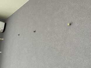 Pic13
