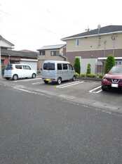 Pic11