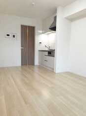 Pic1