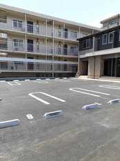 Pic11