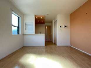 Pic1