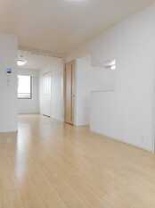 Pic1