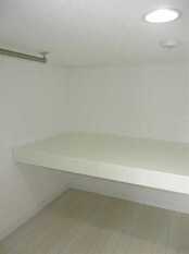 Pic8