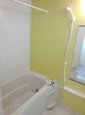 Pic3