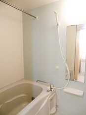 Pic3