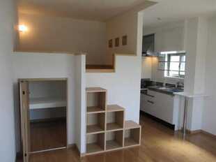 Pic1