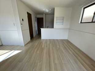 Pic1