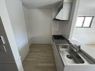 Pic3