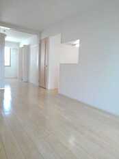 Pic1