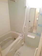 Pic3