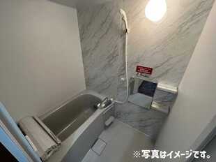 Pic8