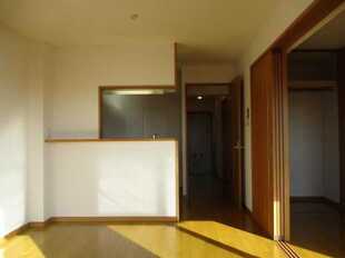 Pic1