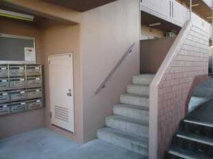 Pic19