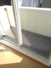 Pic9