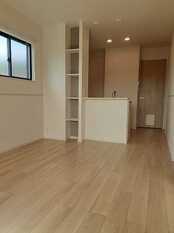 Pic1