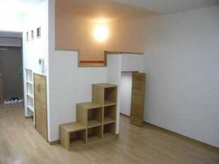 Pic1