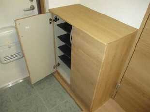 Pic11