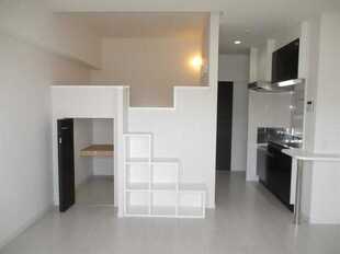 Pic1