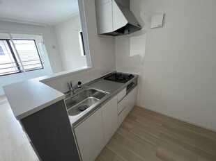 Pic3