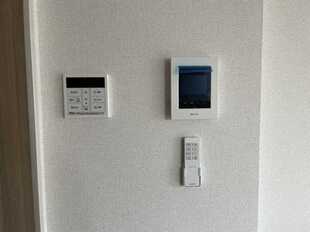 Pic11