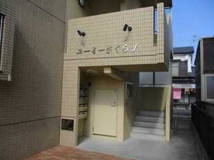 Pic19