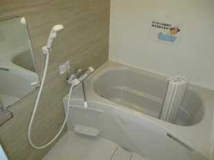 Pic12