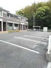 Pic11