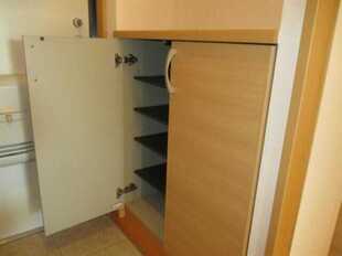 Pic11
