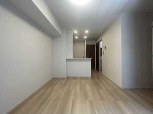 Pic1