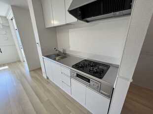 Pic3
