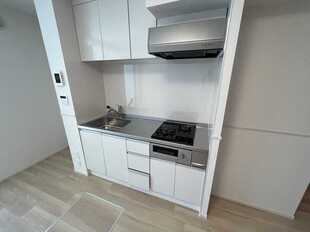Pic3