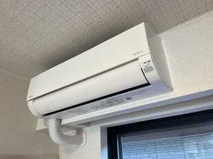 Pic7