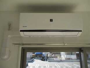 Pic11