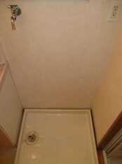 Pic8