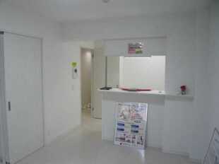 Pic1