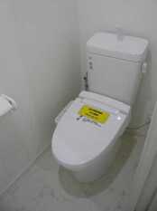 Pic11