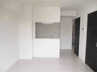 Pic1