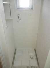 Pic11