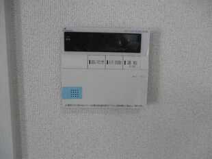 Pic15