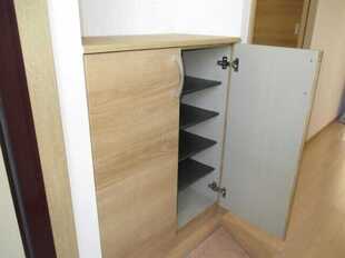 Pic11