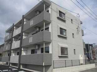 Pic19