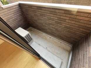 Pic11