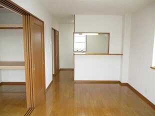 Pic3