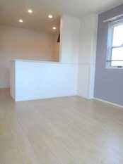 Pic1