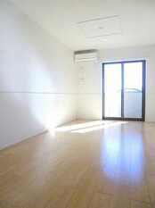 Pic1