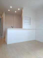 Pic1