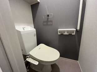Pic5