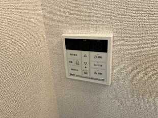 Pic11