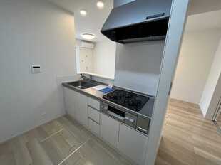Pic11